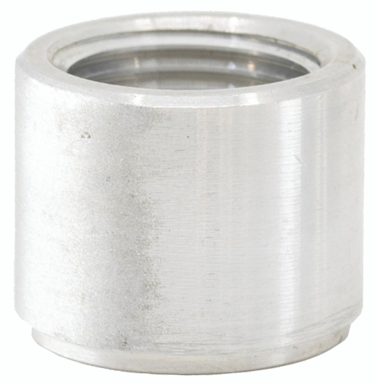 1/4in Female NPT Weld-on Bung Clear