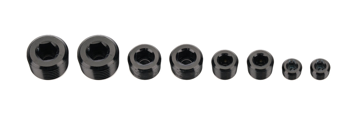 NPT Socket Head Pipe Plug Kit -02 -04 -06 -08
